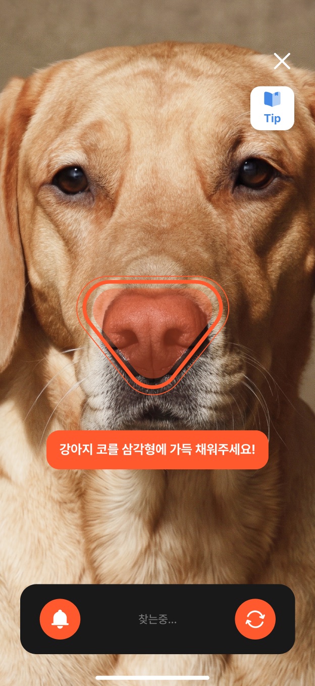 강아지 코를 촬영 가이드에 맞추는 Petify 비문인식 화면